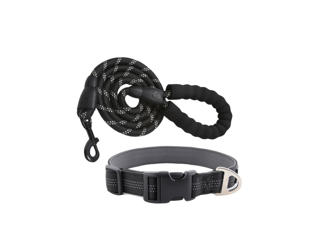 A-Backle Collar + Reflectible Leash