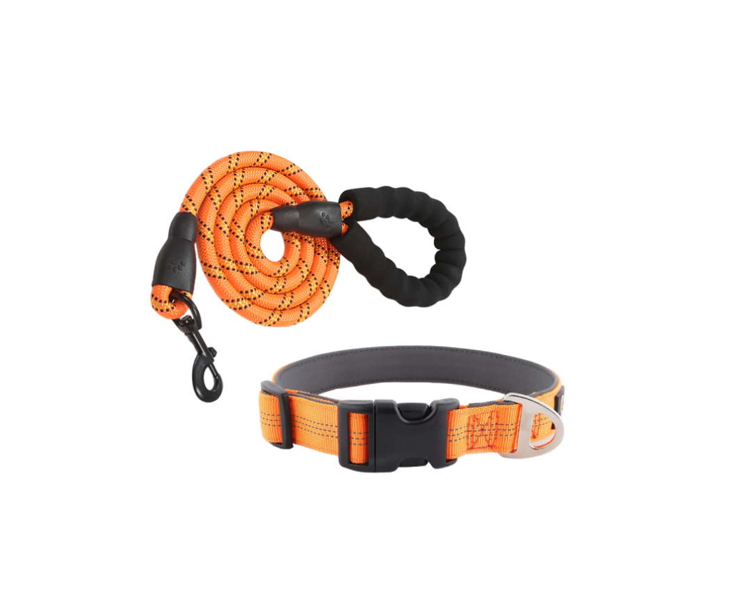 A-Backle Collar + Reflectible Leash