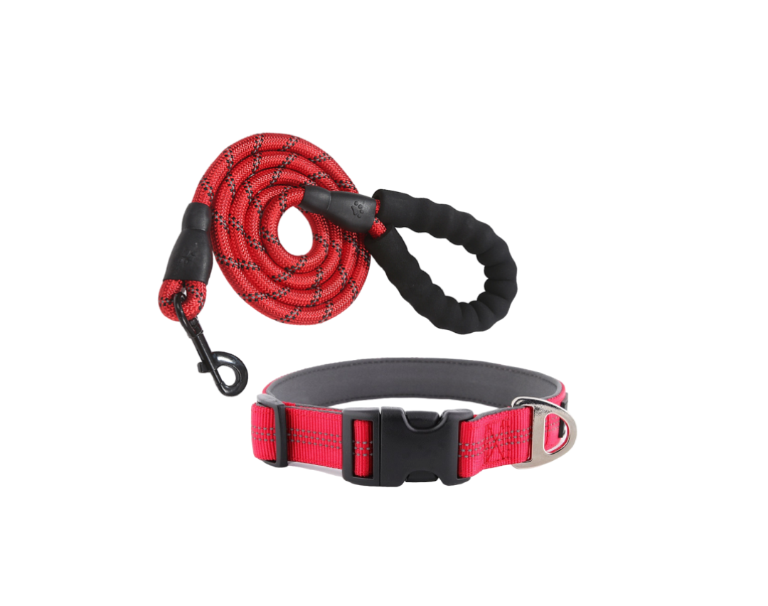 A-Backle Collar + Reflectible Leash