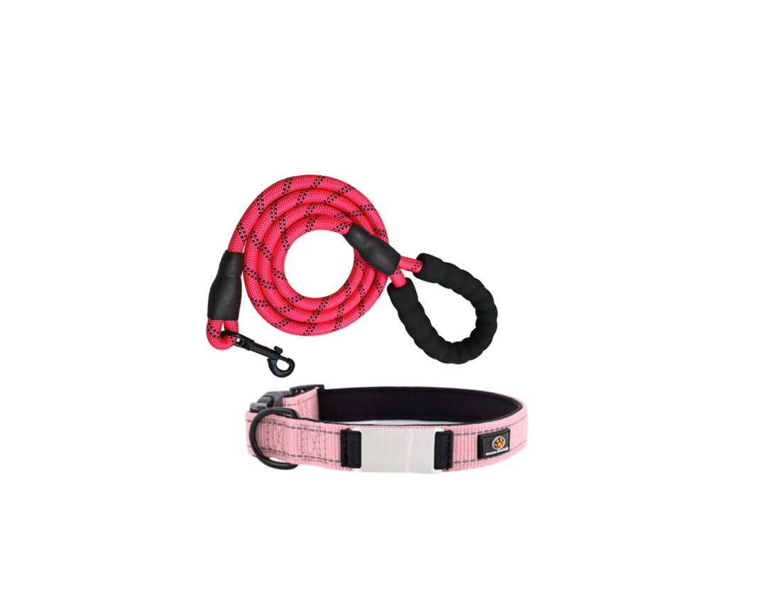 SSIPE Collar + Leash