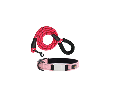 SSIPE Collar + Leash